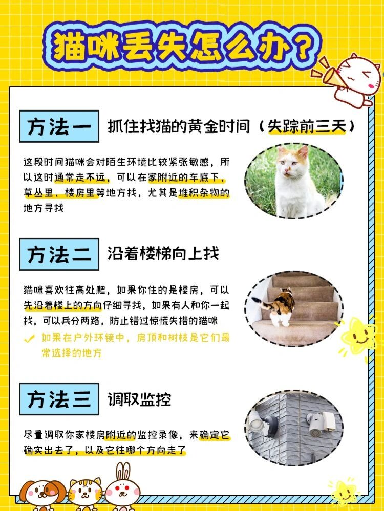 要靠铲屎官自己行动才行,分享几个炒鸡管用的找猫方法!