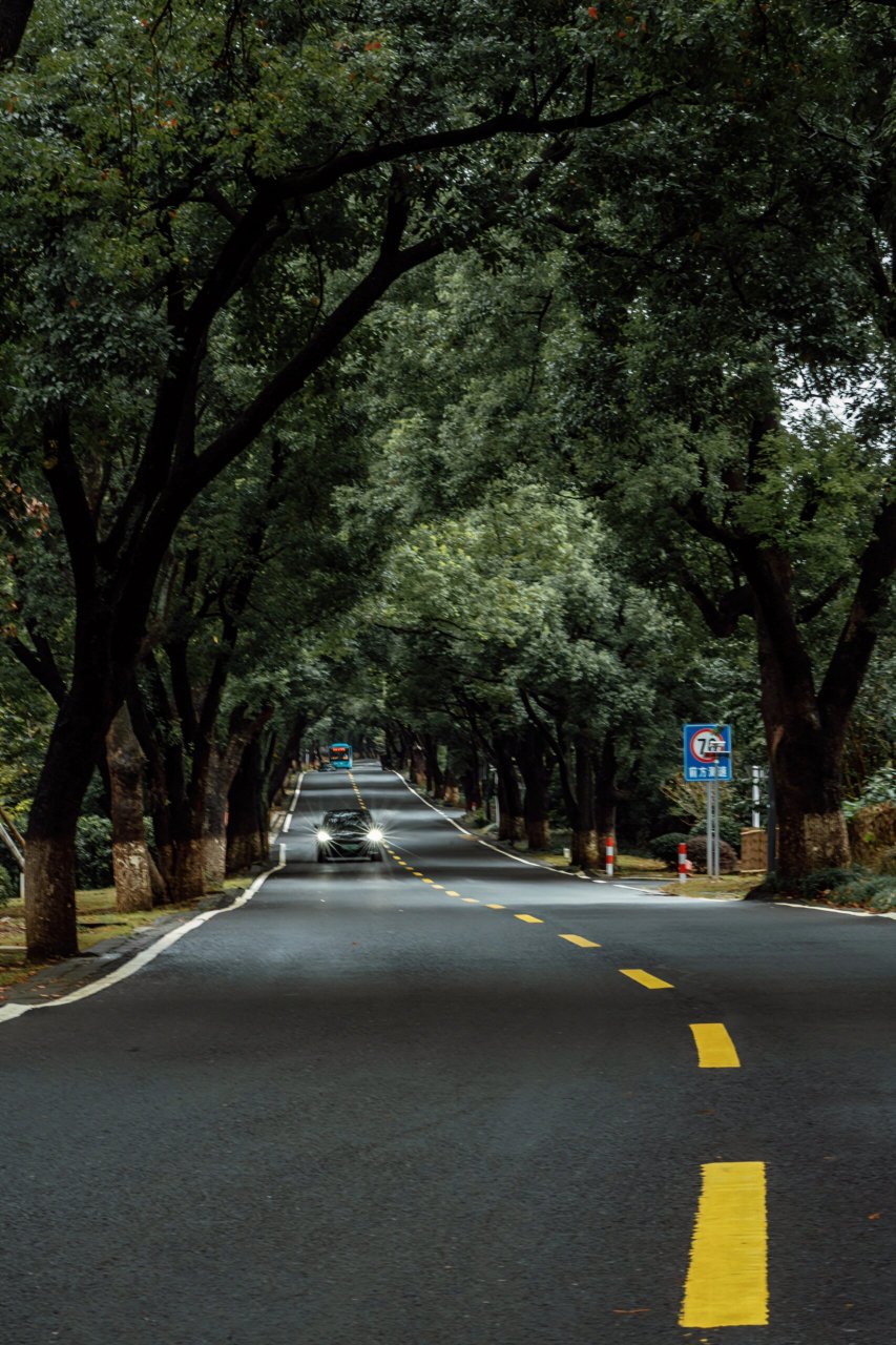 苏虞张公路图片