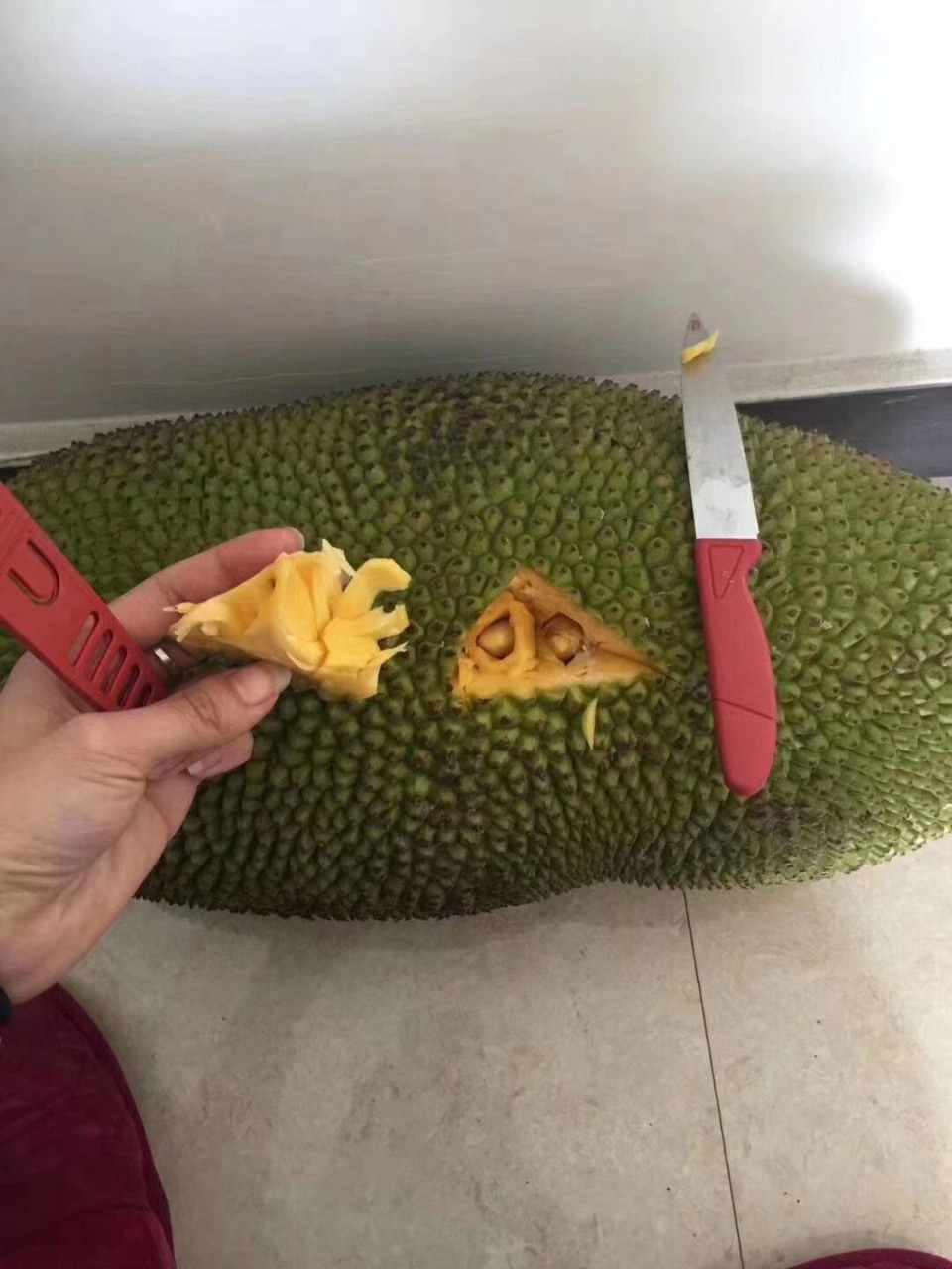 菠萝蜜认准海南牌,干包和湿包区别, 海南菠萝蜜均为干包菠萝蜜 湿包