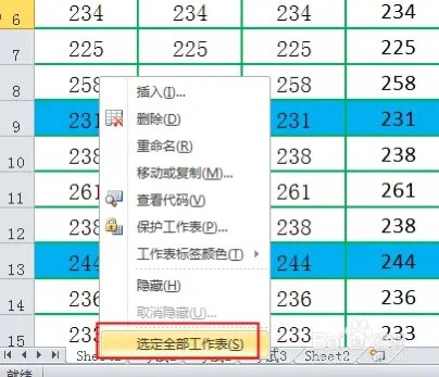 excel所有sheet分页预览