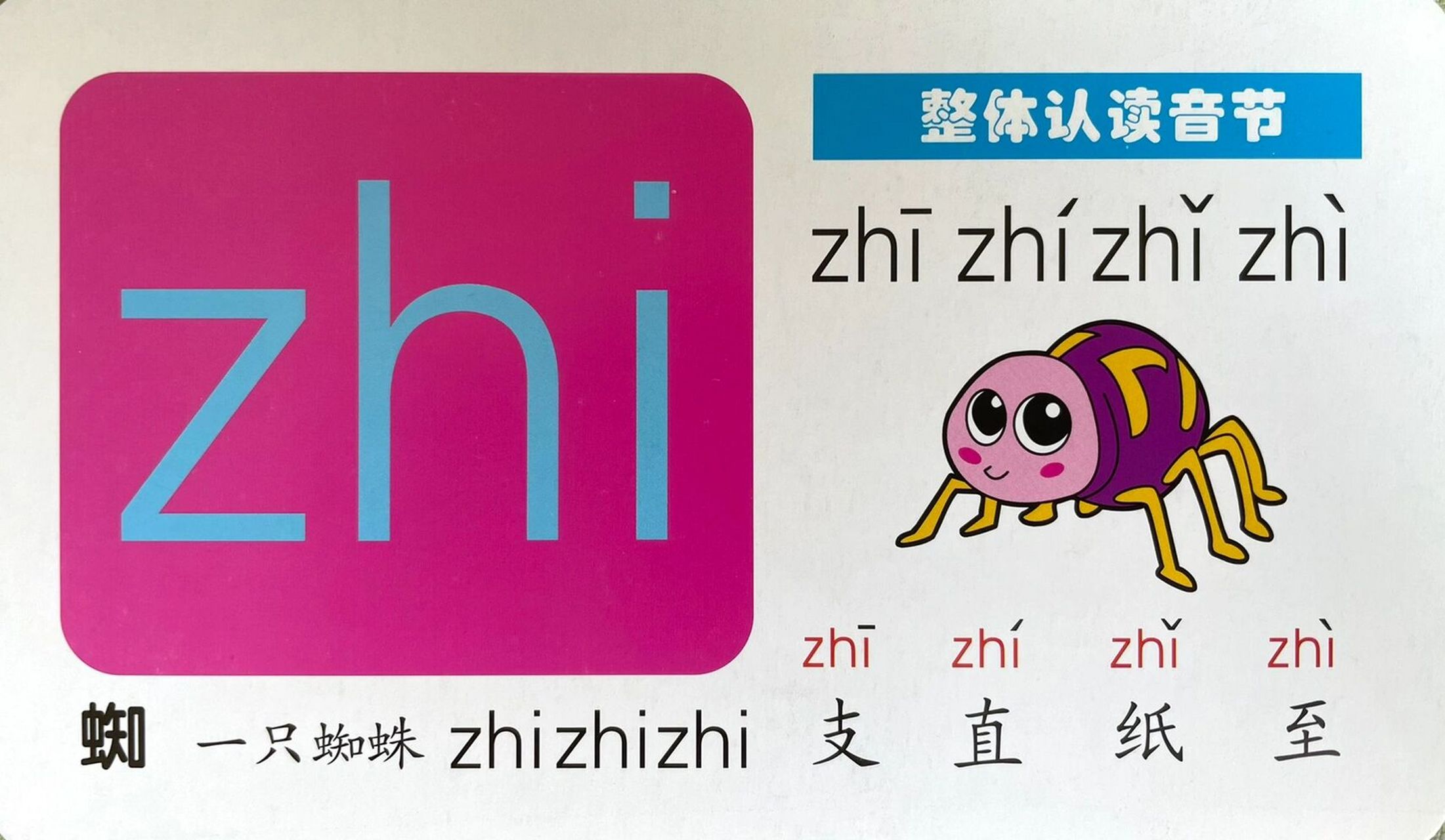 拼音学习15:整体认读音节 整体认读音节有16个,我们分几次学习,今天学