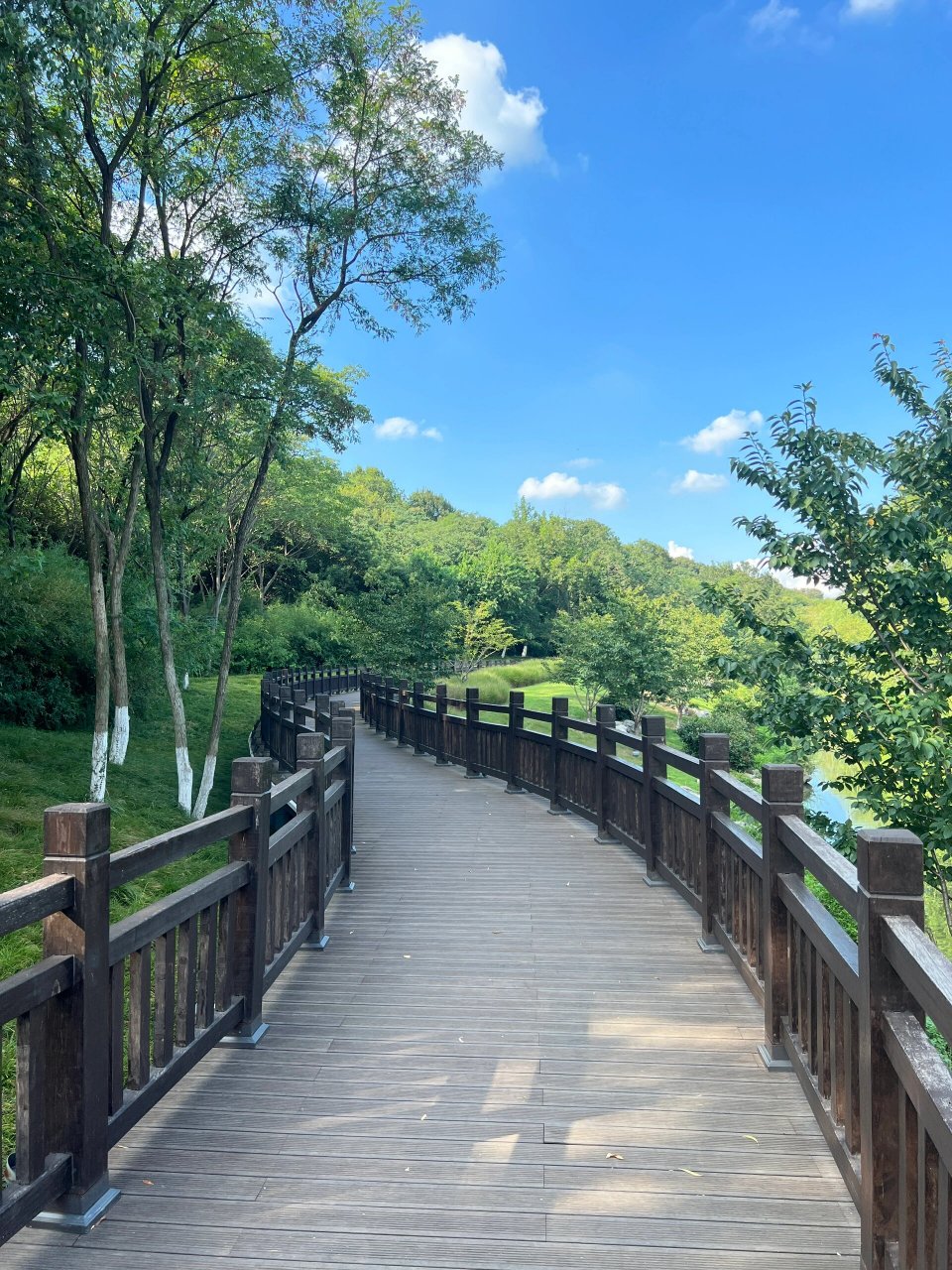 休闲溜达的好去处|南京羊山湖公园9393          羊山公园(羊山