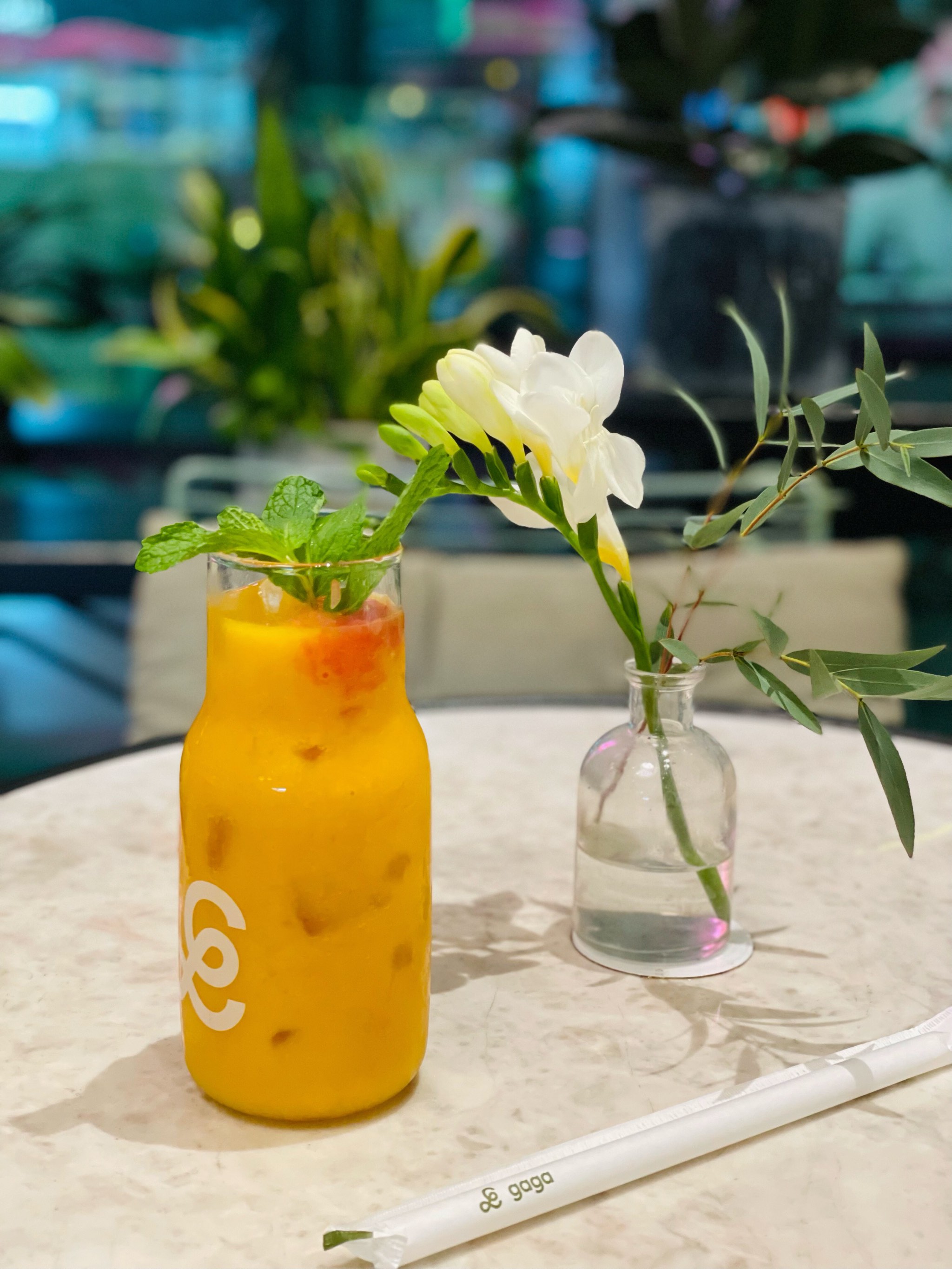 深圳探店-gaga鲜语