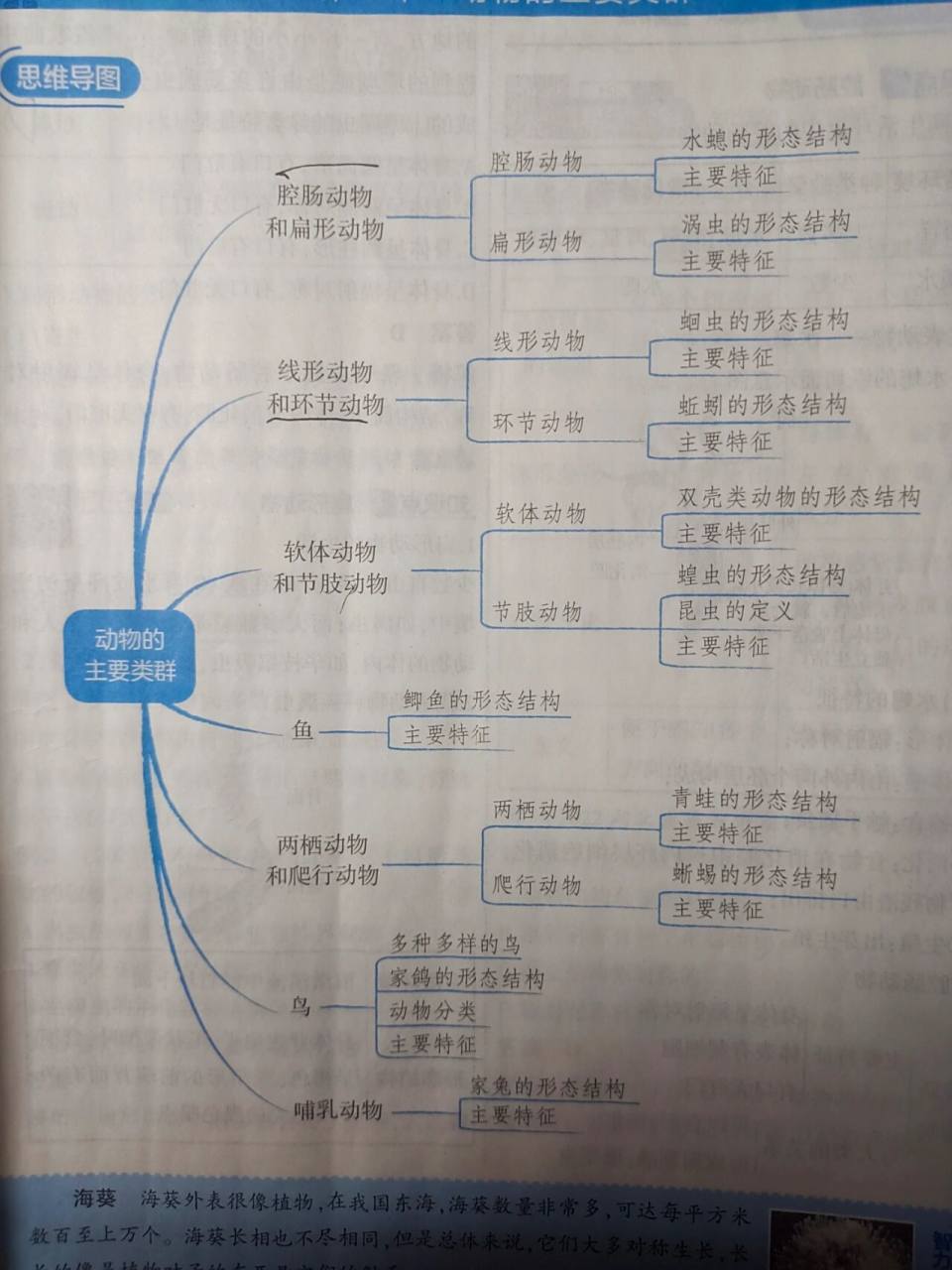 八上生物思维导图