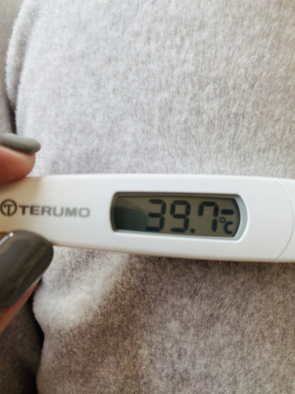 布布已经三天高烧不退了!