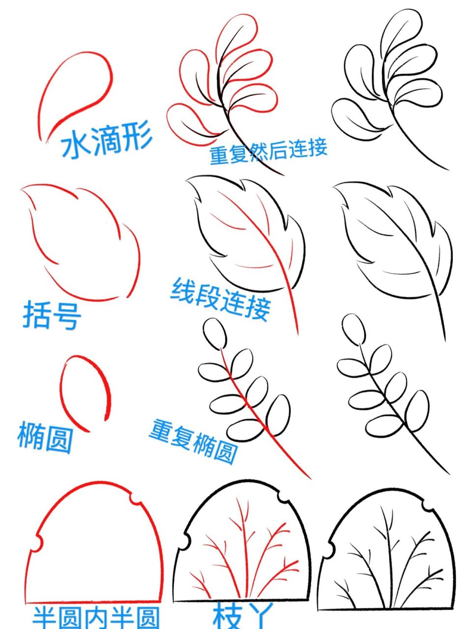 简笔画|植物树叶画法 各种植物的树叶来啦!