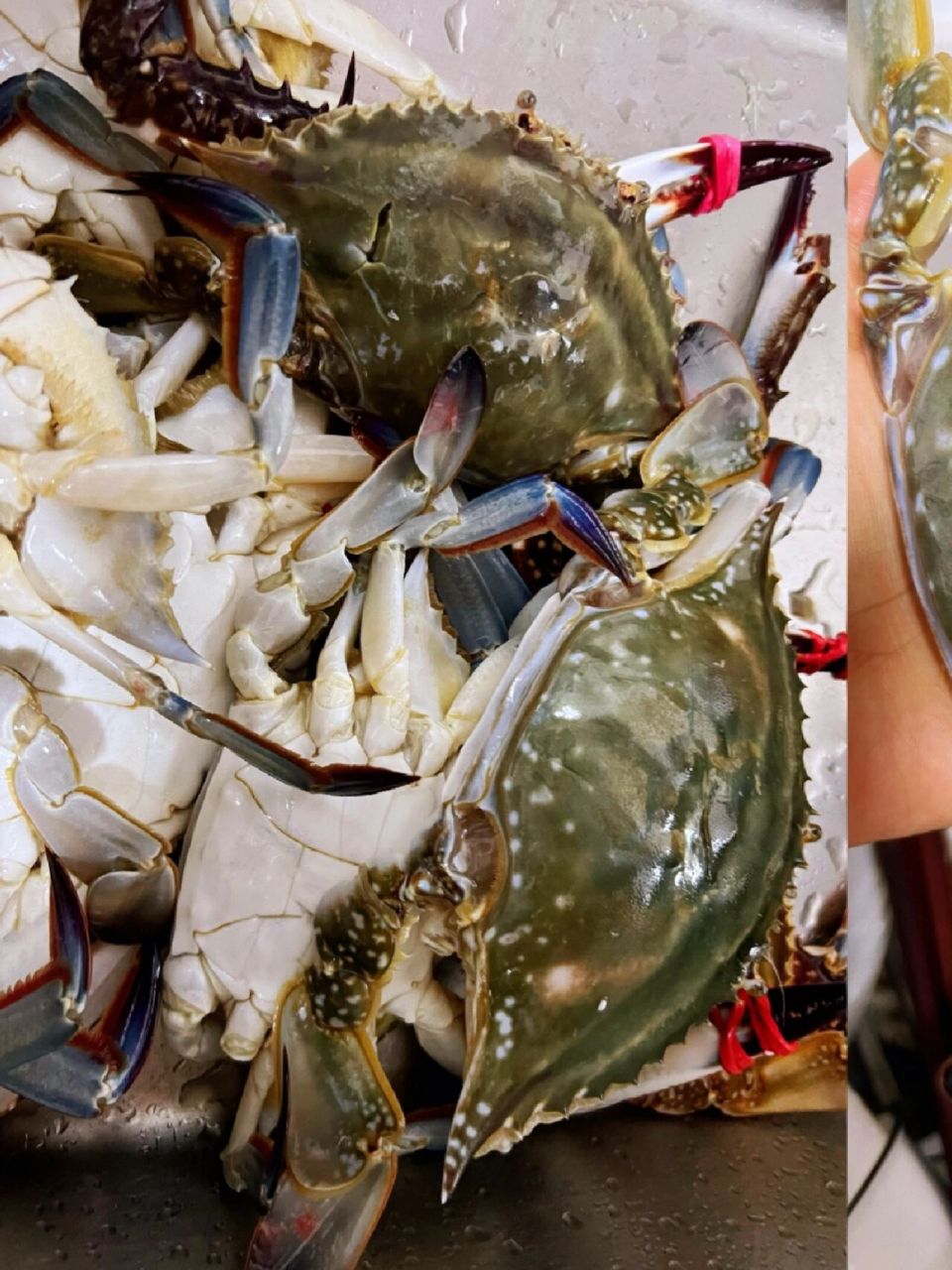 救命98飞蟹这样做太香啦!