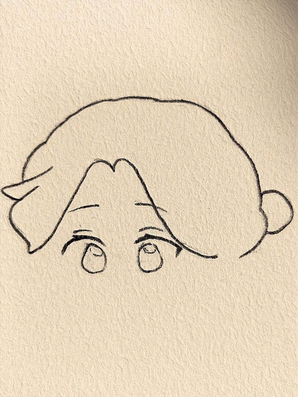 谢怜【过程】     "天官赐福,百无禁忌94"