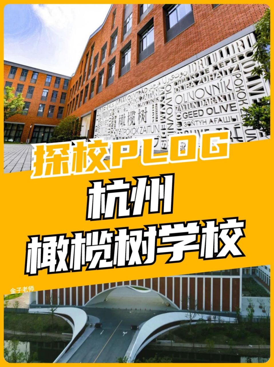 探校plog91