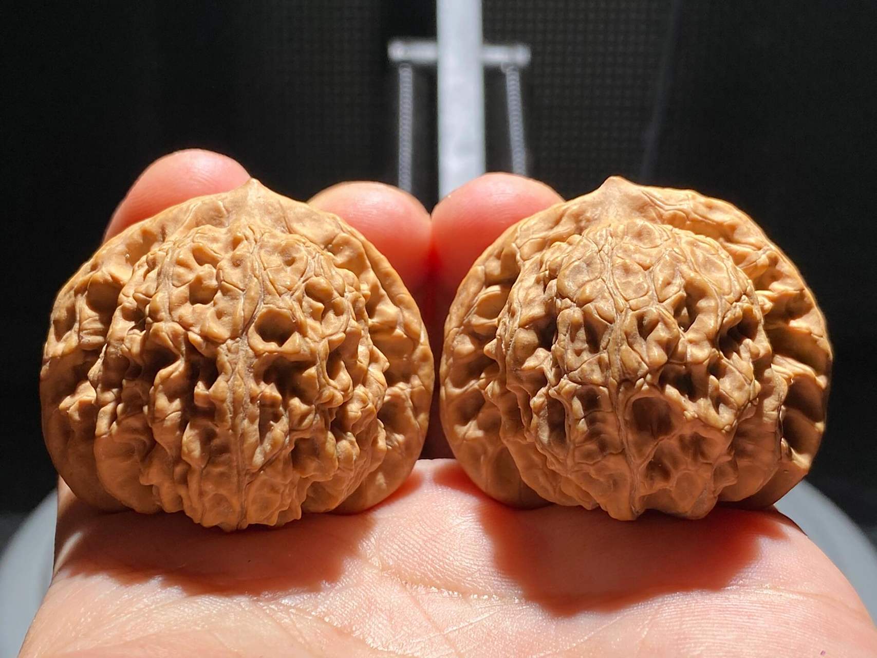 手汗大玩什么核桃不走酱717515 霞云岭狮子头也是一款以产地