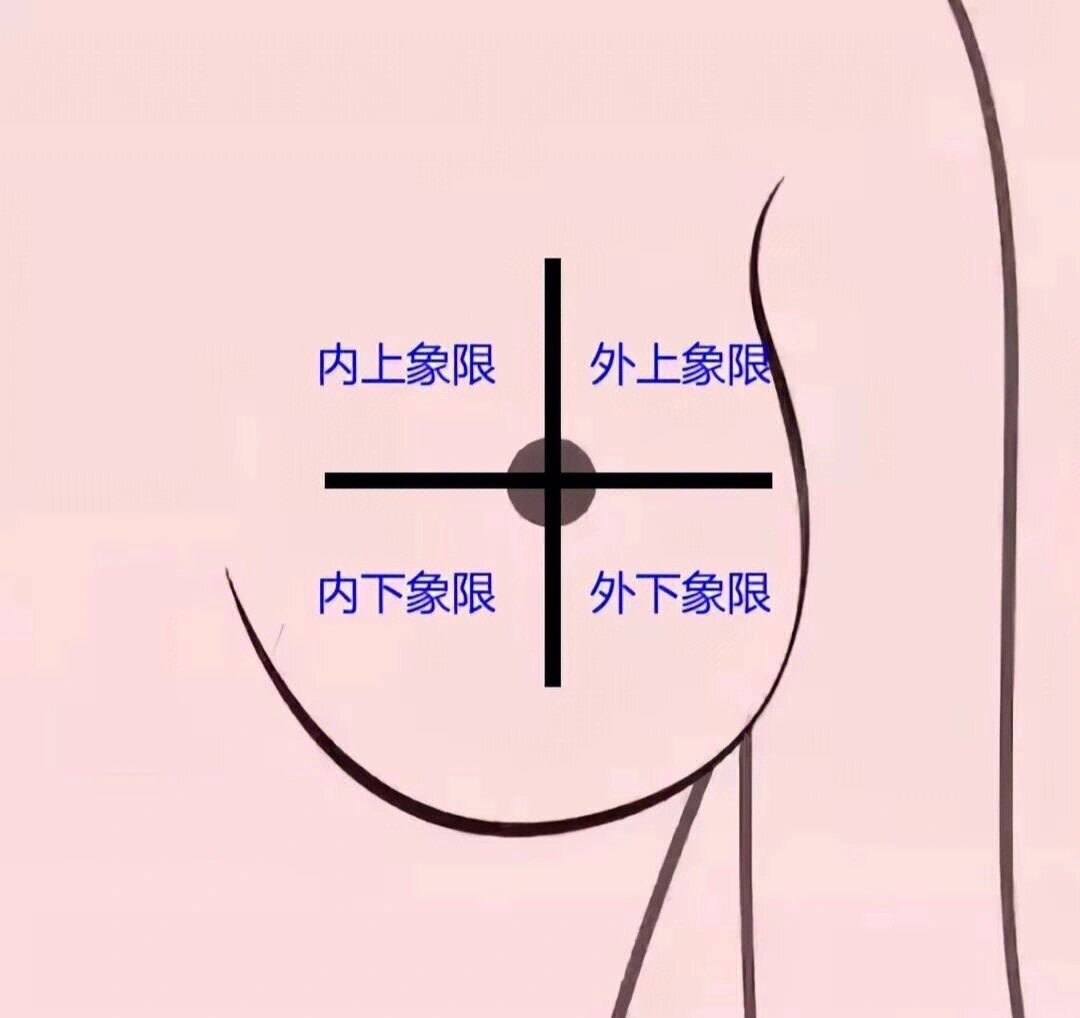 乳房外上象限图片