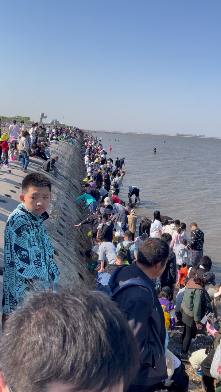 4月30日天津东疆亲海公园赶海地点 首先,带着孩子来发现没有沙滩,只有