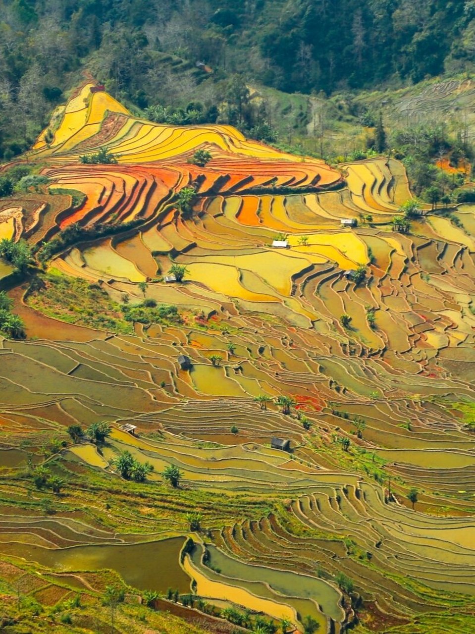 天空之镜 山岭雕刻 去过很多国内的梯田景区,云南红河州的元阳梯田