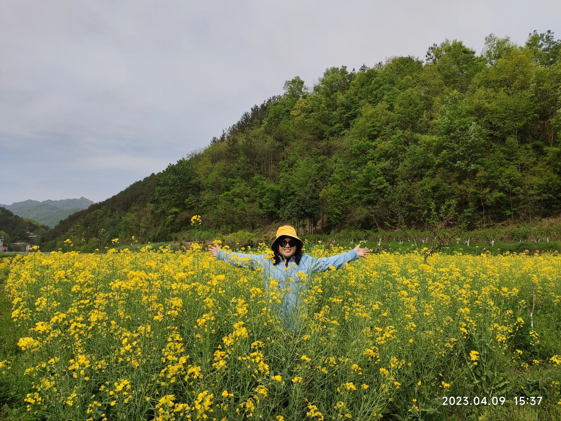 汉阴桃花谷图片