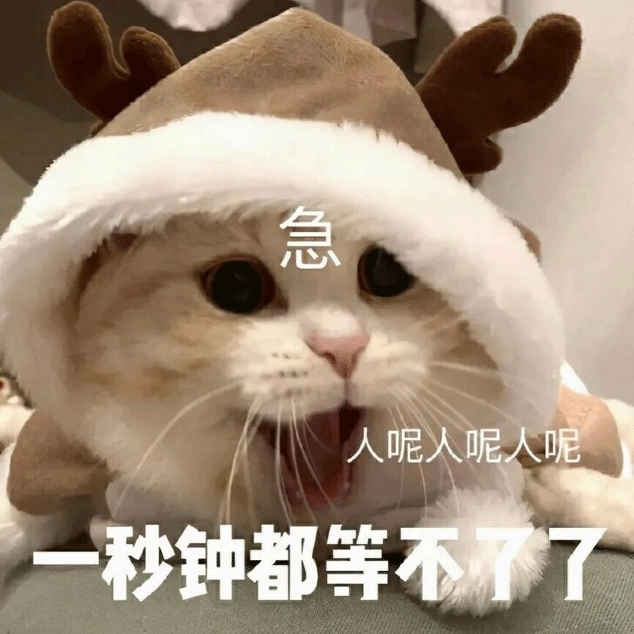 可爱表情包～做个人吧059892