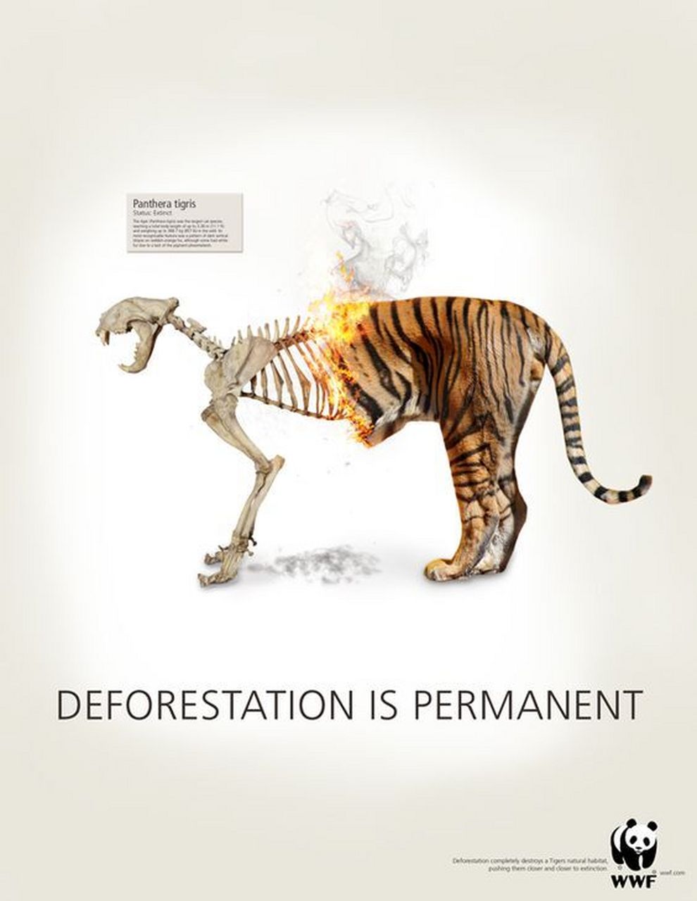 海报分享|公益广告 本期介绍是公益海报保护环境,人人有责呢～想看