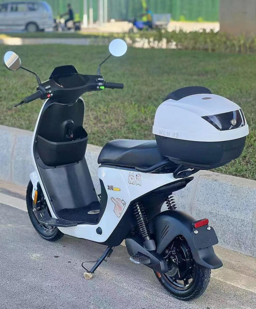 新国标九号c90电动车(已上牌)须过户或销户,搭载48v25a可拆卸锂电池