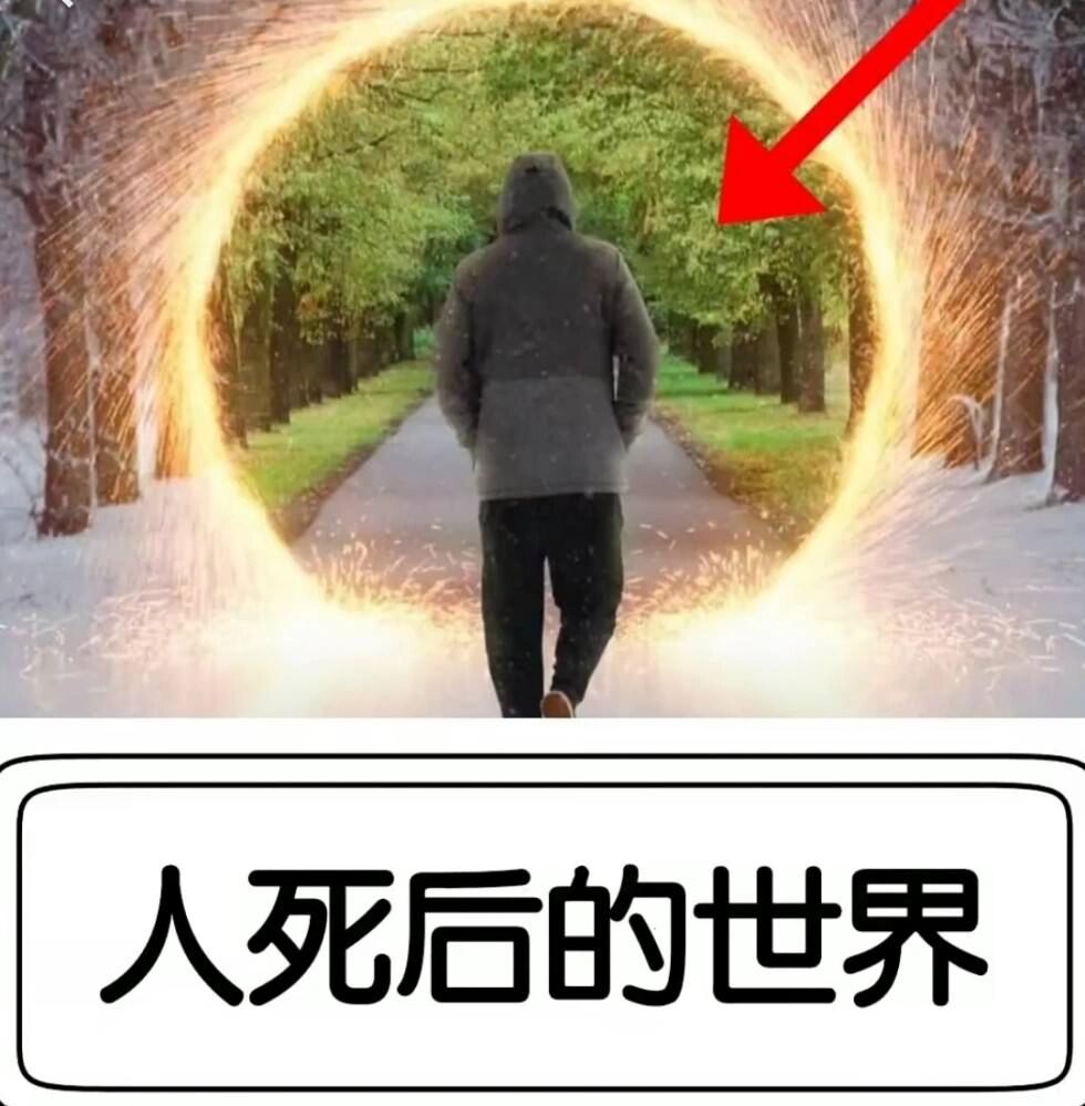 法医看世界 人死后的变化