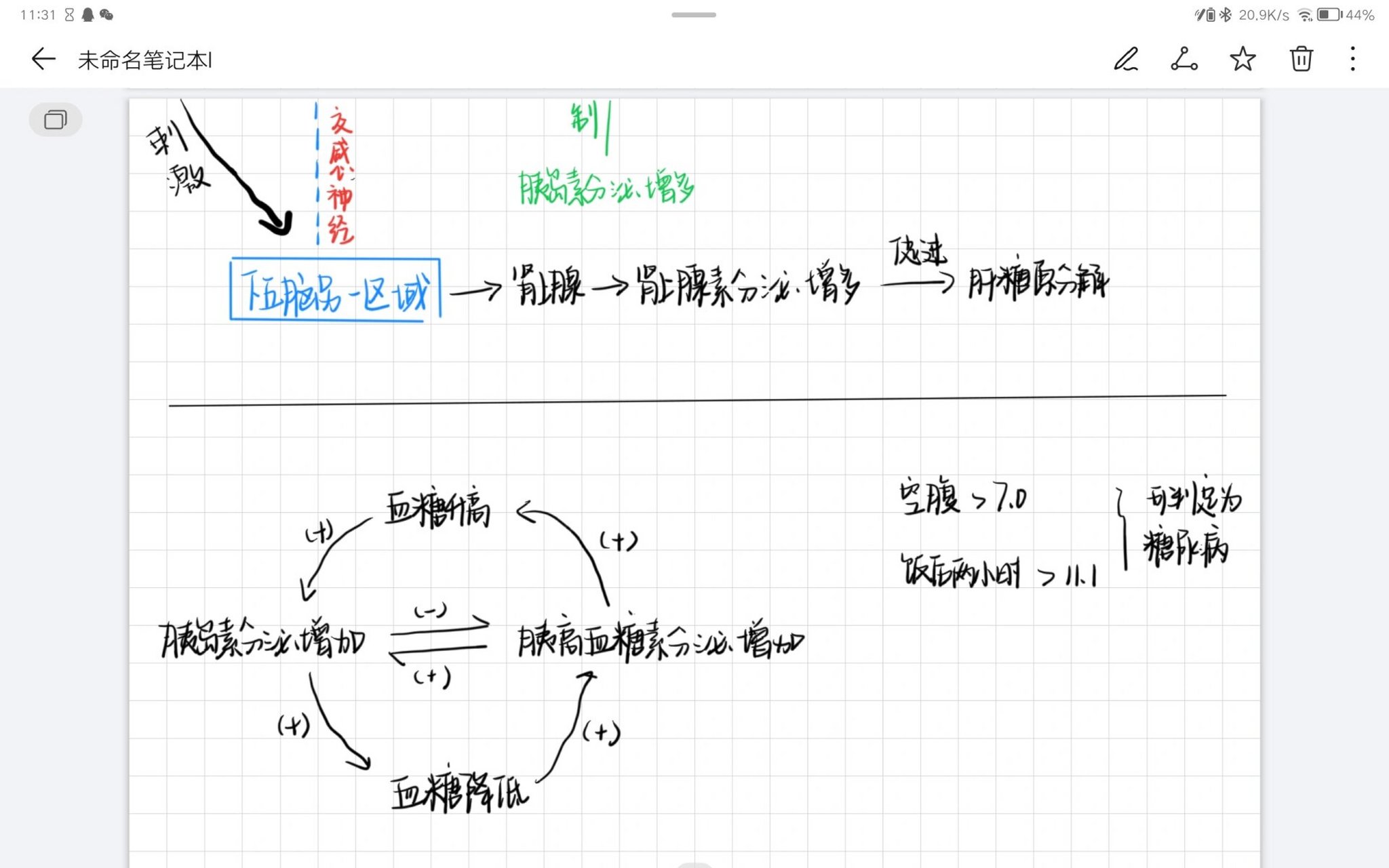 血糖调节的思维导图图片