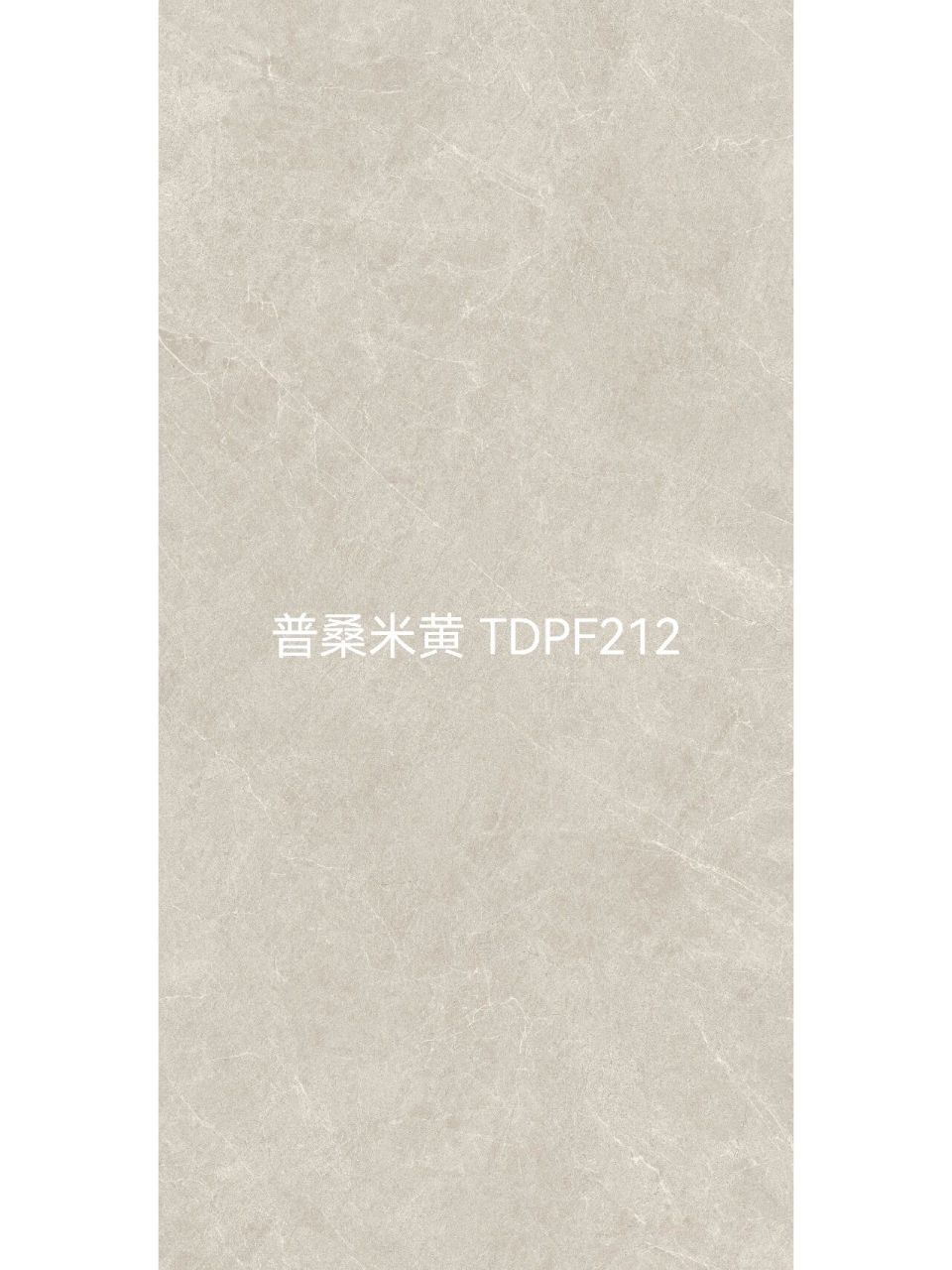 特地瓷砖750*1500 特地.