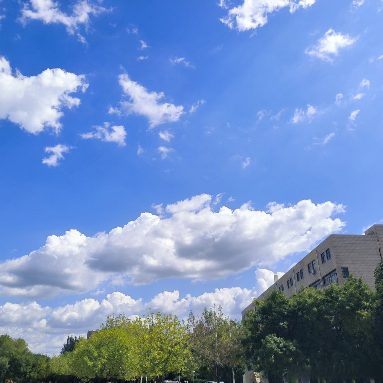 校园随手拍# #滨职剪影##滨州职业学院#  英雄者,胸怀大志,腹有良策