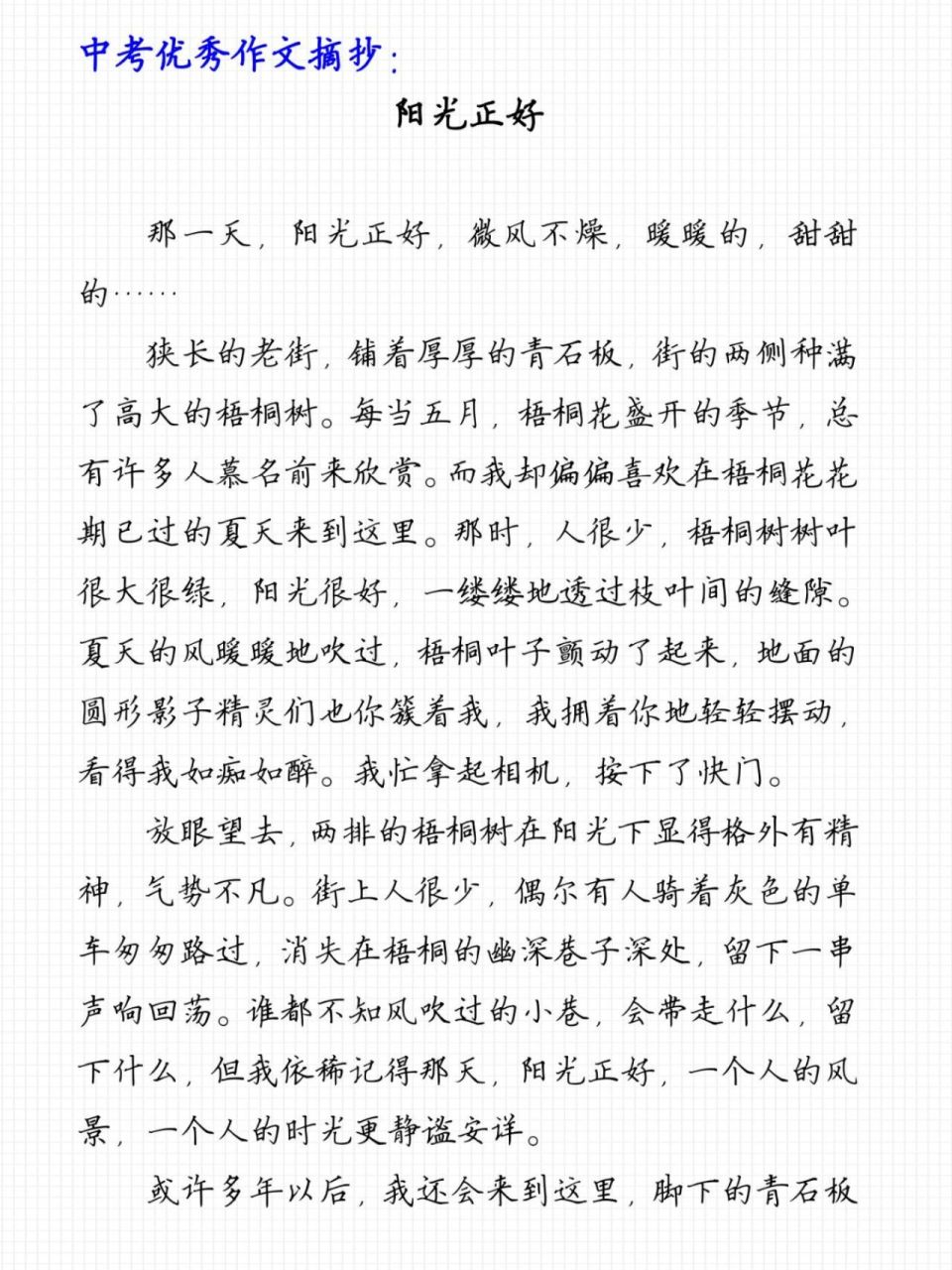 中考优秀作文摘抄《阳光正好》 那一天,阳光正好,微风不燥,暖暖的