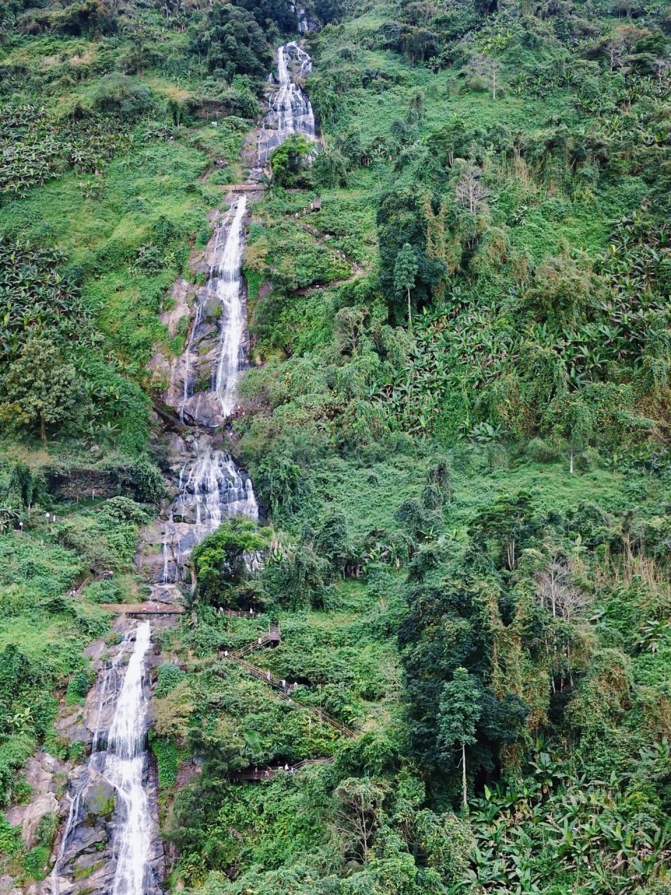 感受百花岭热带雨林的神秘魅力 99地点:海南百花岭热带雨林文化旅游
