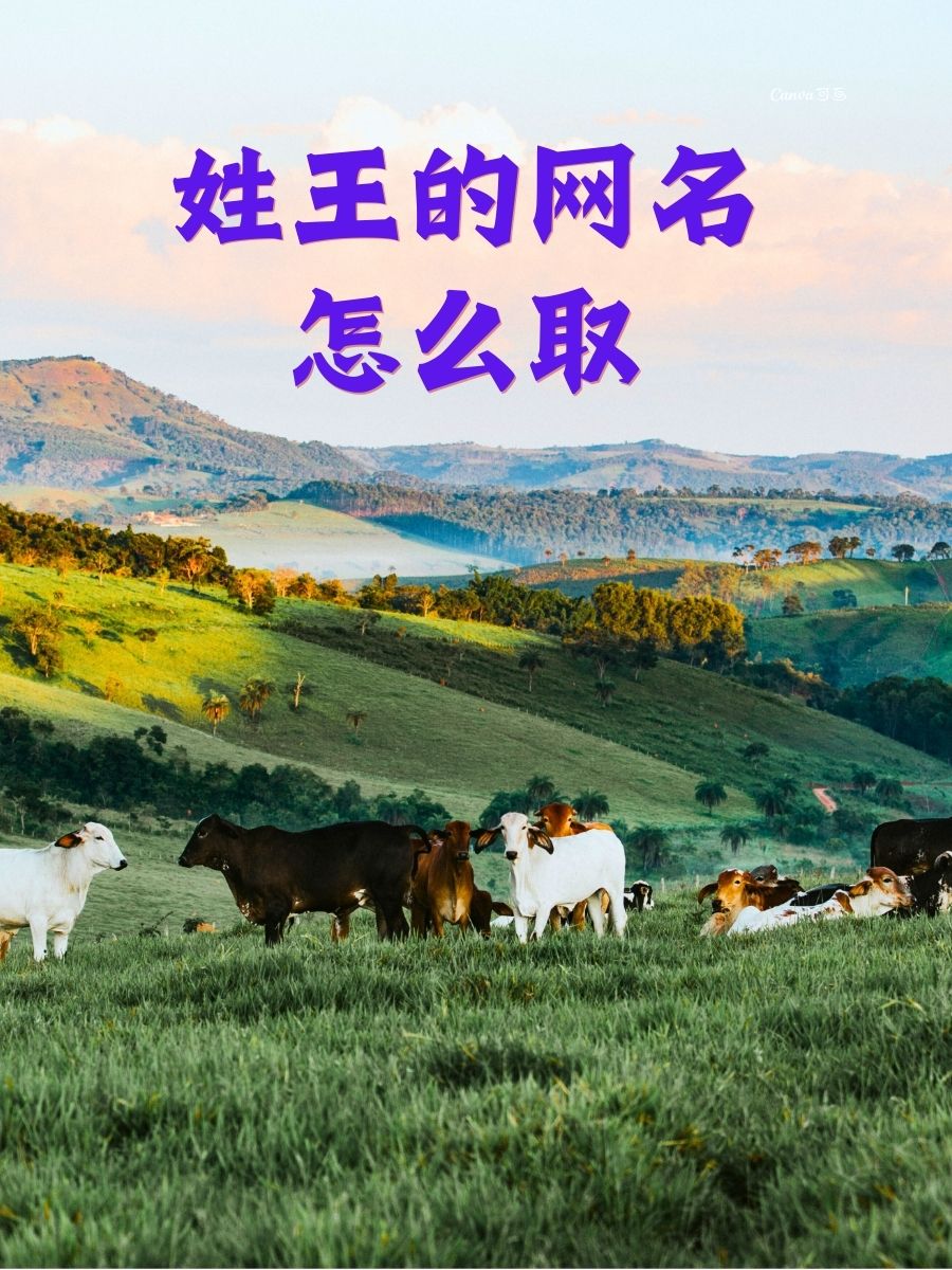 互联网创业网名大全(互联网创业的句子经典语句)