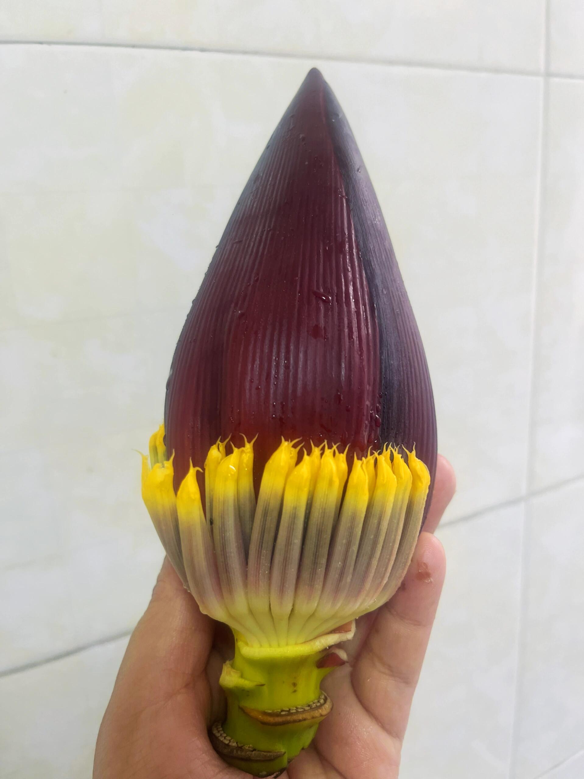 芭蕉花炒腊肉 吃野花必做三件事:抽花蕊,焯水,泡水去杂质去苦涩味.