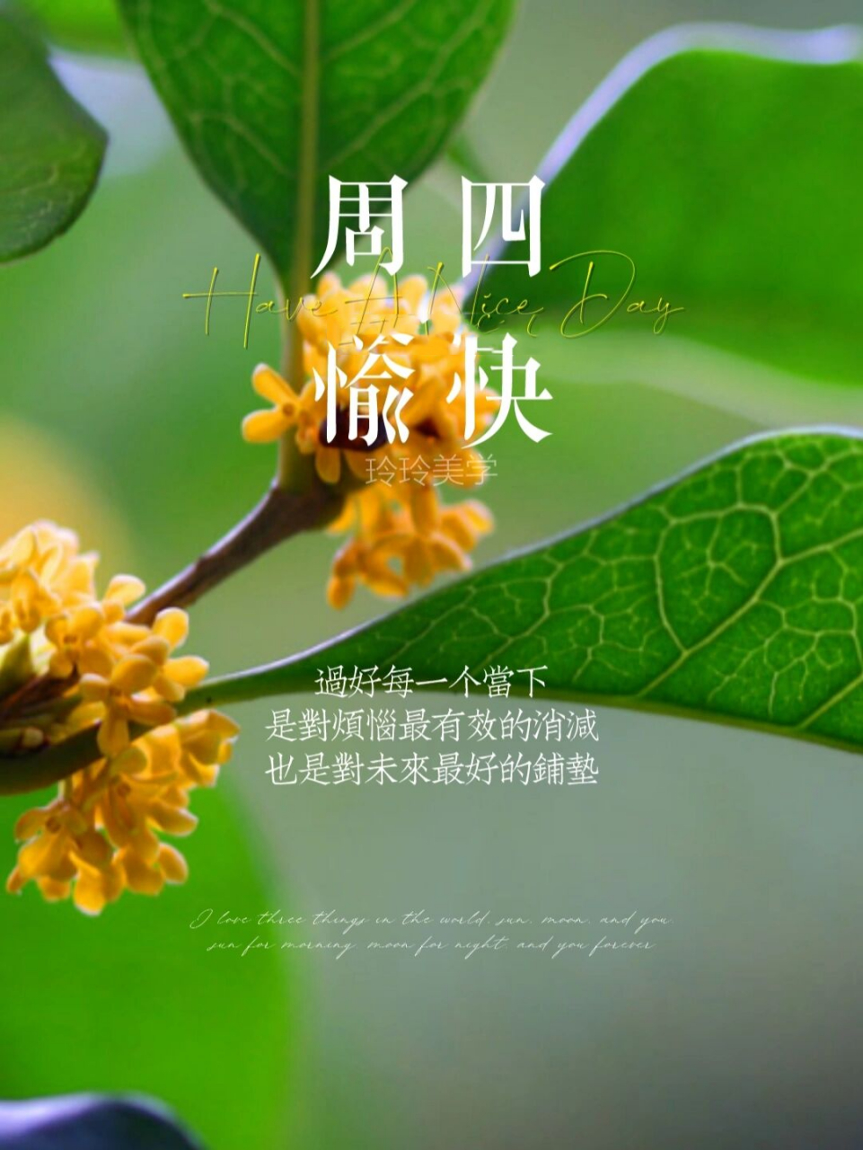 早安日签海报|周四愉快|温暖治愈励志文案 93 69            78