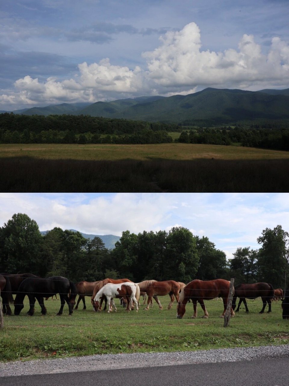 田纳西州|smoky mountain惊险之旅 166157215mammoth cave.