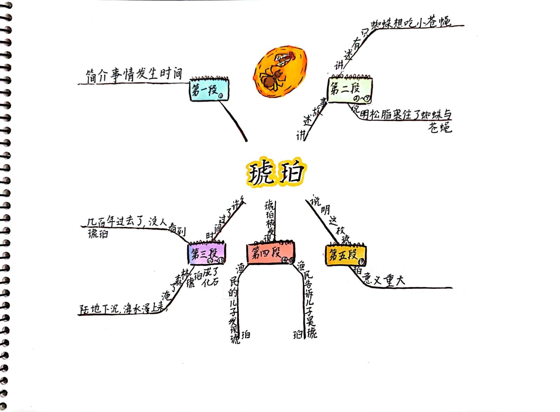 课文琥珀的思维导图图片