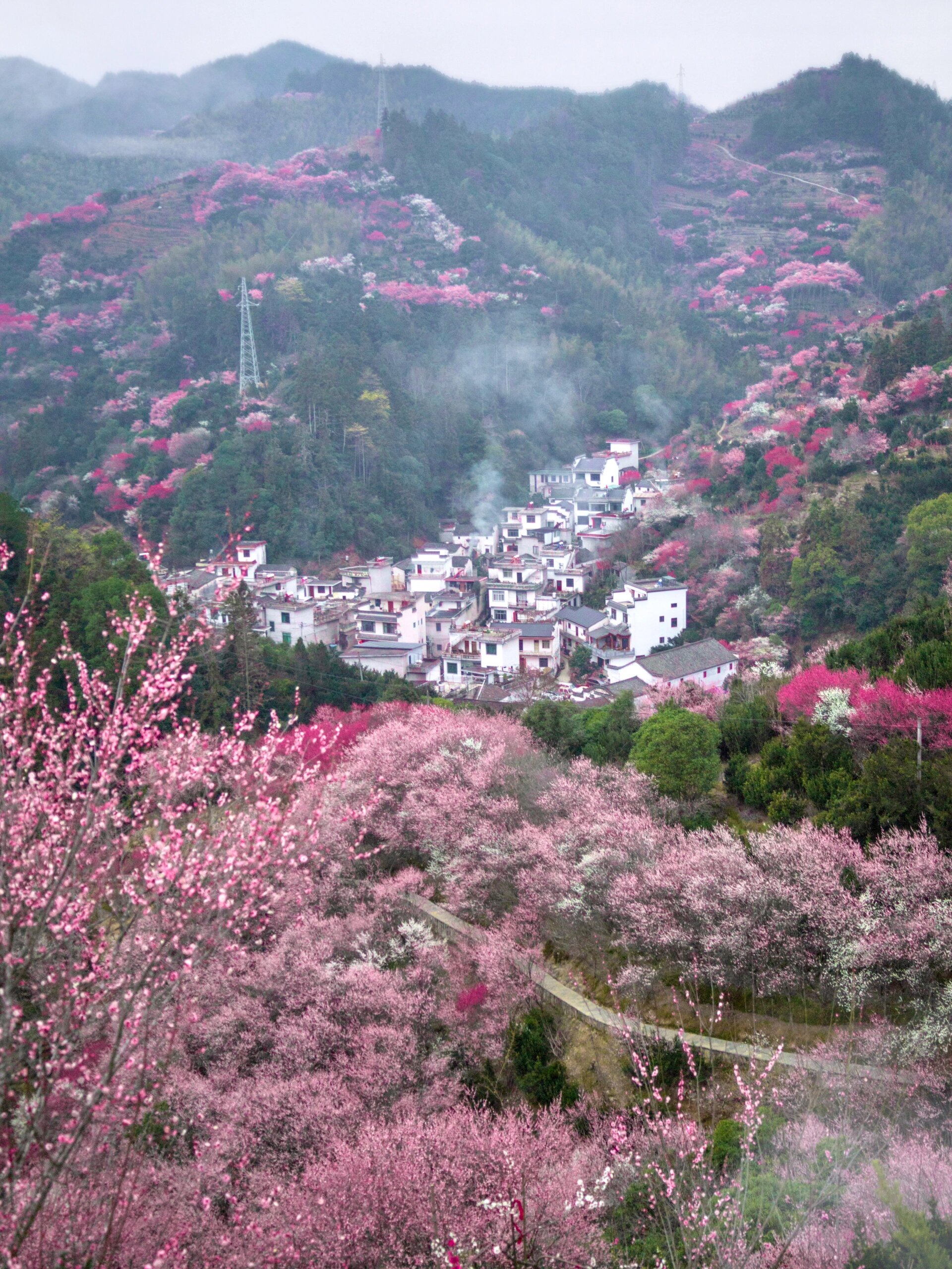 春节赏梅,这个皖南神仙村子赢麻了6015 · 安徽歙县卖花渔村 一个