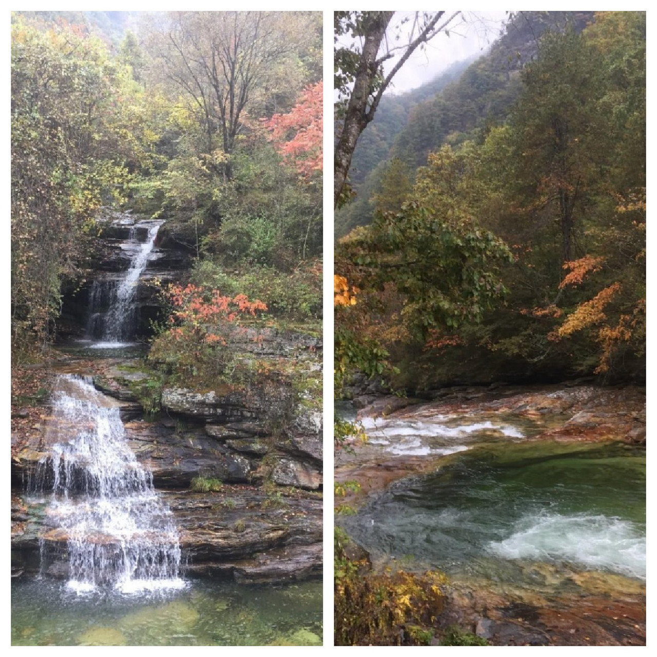 黄柏塬原生态风景区旅游攻略 小建议~ 黄柏塬风景区位于陕西省宝鸡市