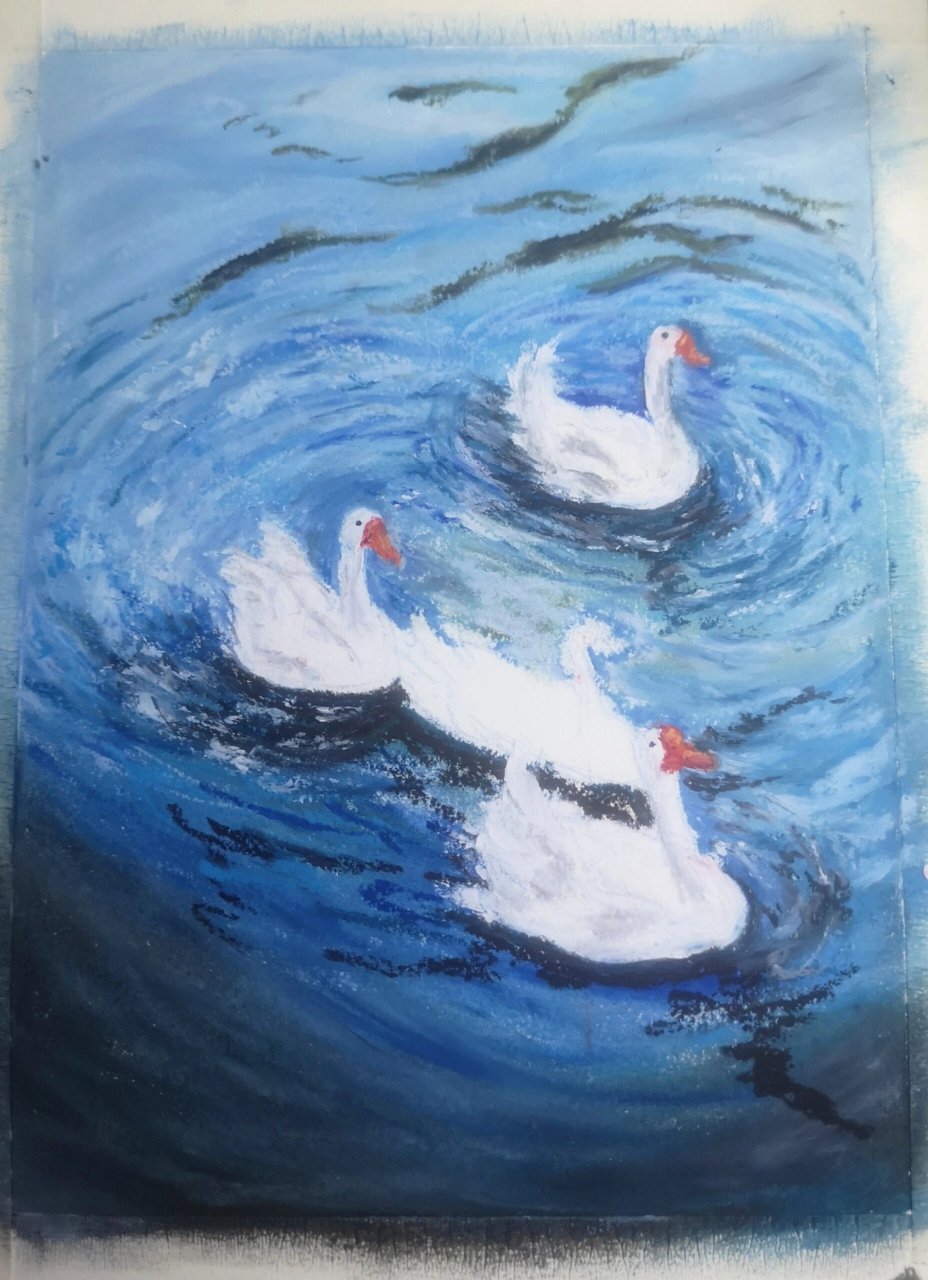 每日一画画 | 大白鹅(附过程图) 夏天的大白鹅,小手涂起来!