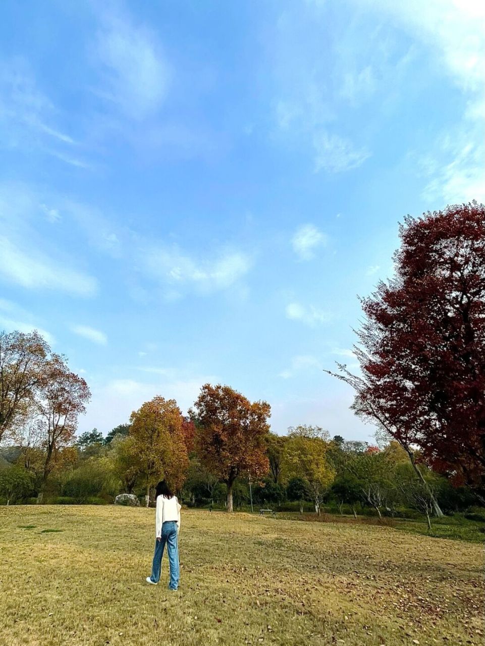 镇江踏秋好去处,镇江小众公园:镇江宜园!金山焦山北固山都给我out !