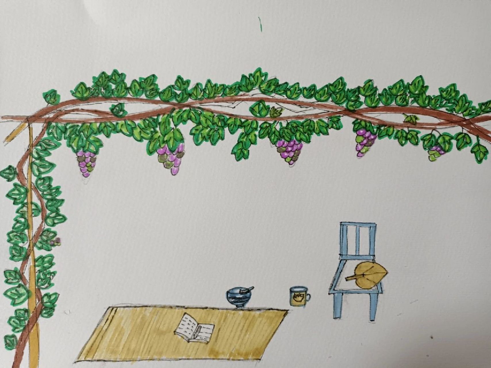 儿童画葡萄架简笔画图片