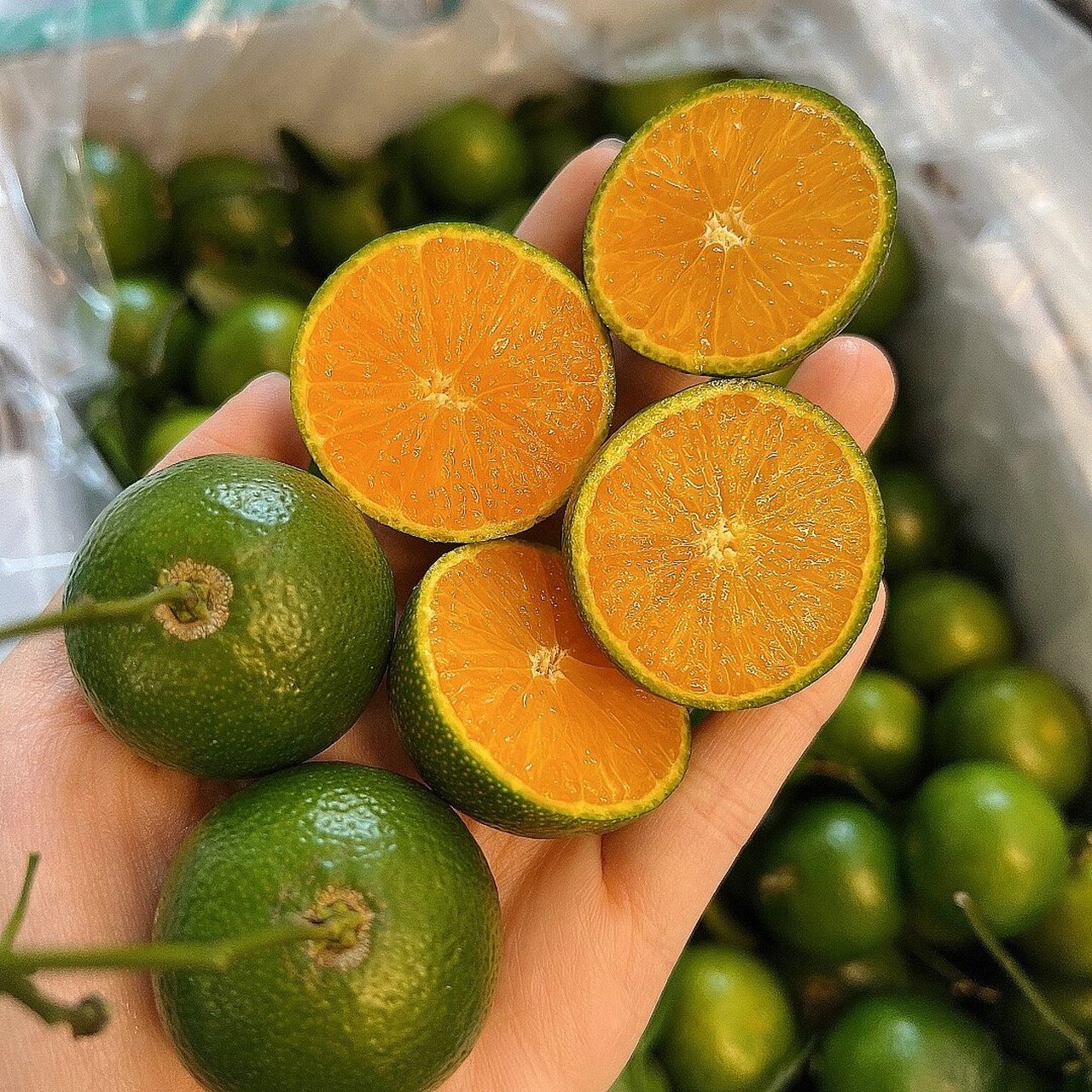 真的可以吃出茶香 茶桔口感很独特,清香,甘甜,还真带着清香的茶95味