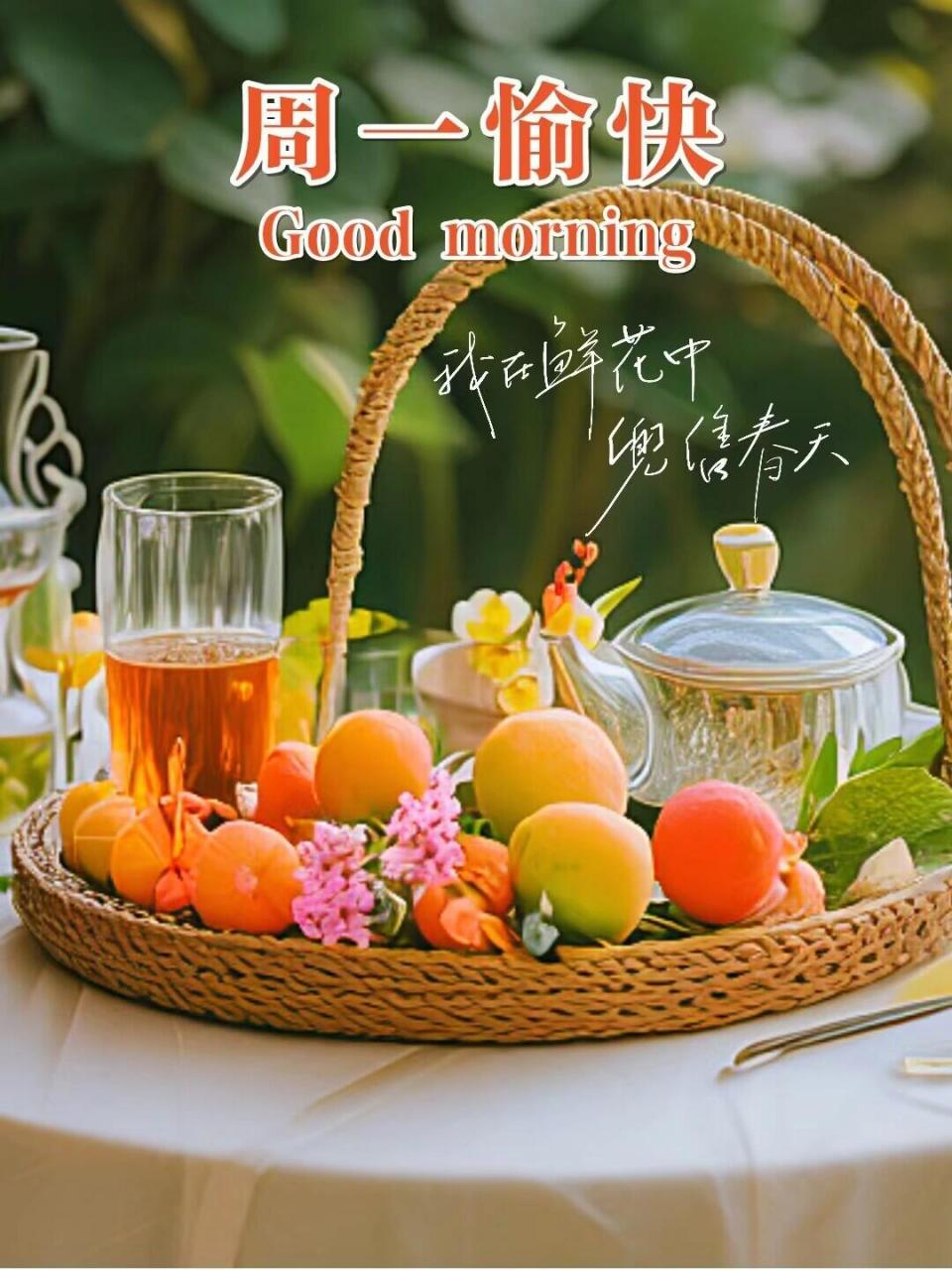 早安海报/早安文案/朋友圈分享 周一快乐,早上好!
