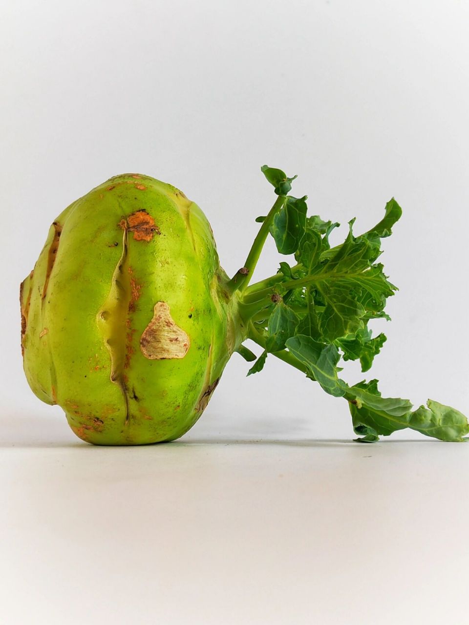 绘画素材 | 苤蓝开花~生机勃勃  