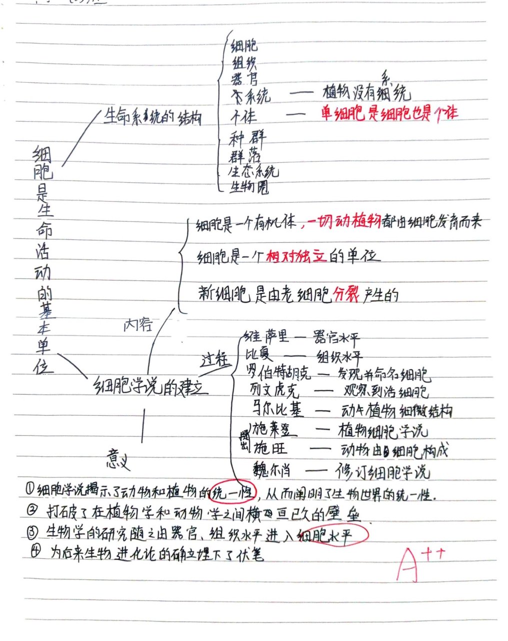 走进细胞思维导图图片