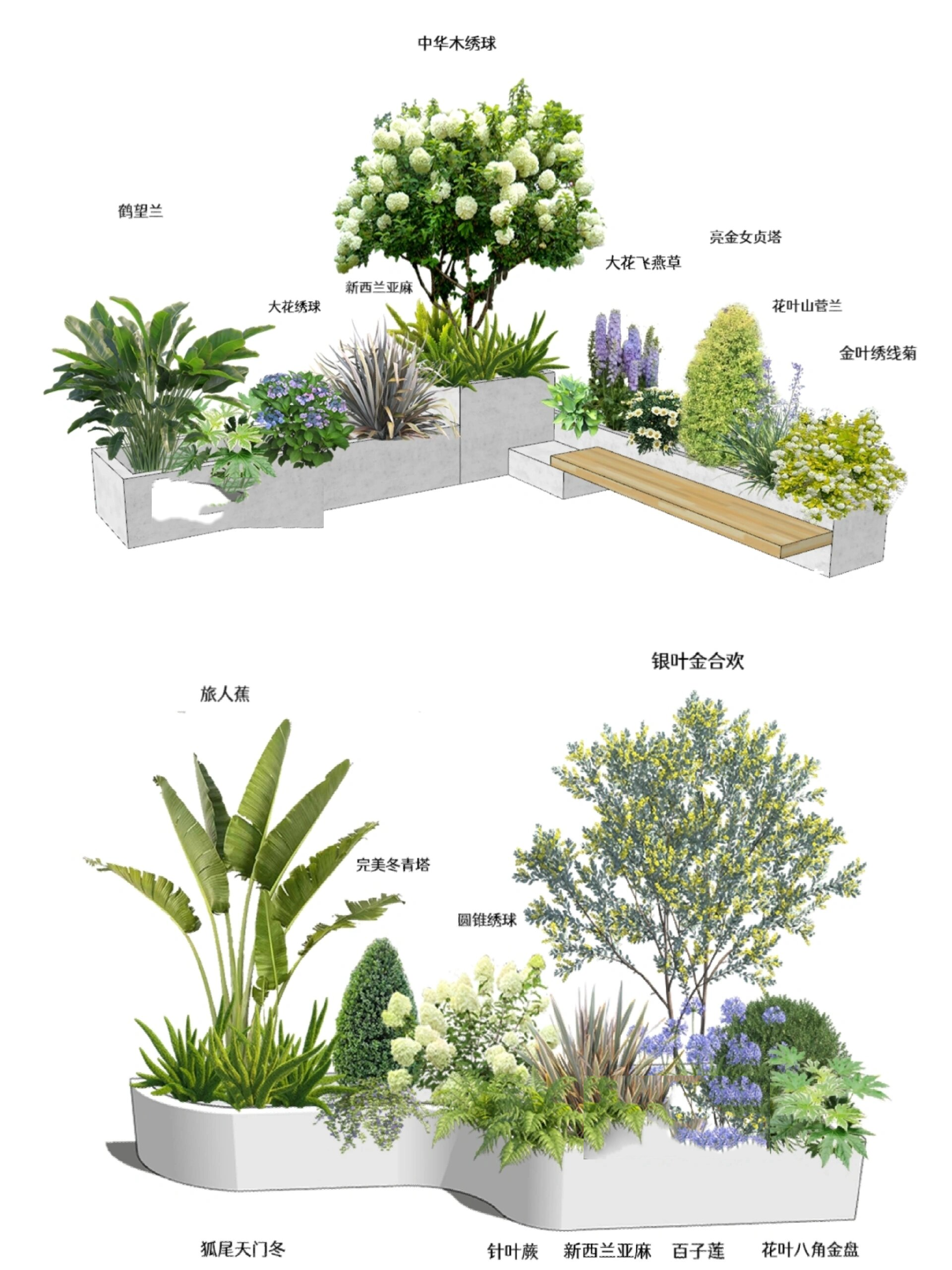 小清新花坛植物设计搭配|附品种清单