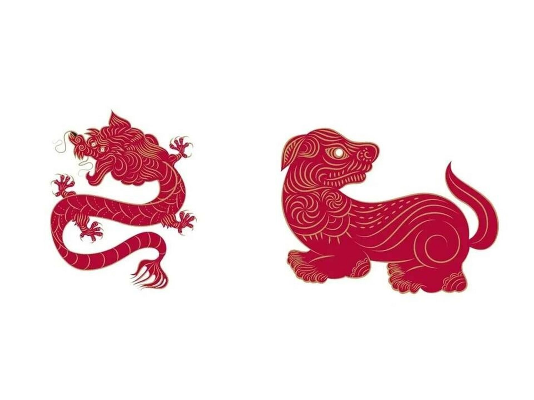 没想到生肖龙和狗在一起会是这样的… 生肖龙与狗完全就是两个世界的