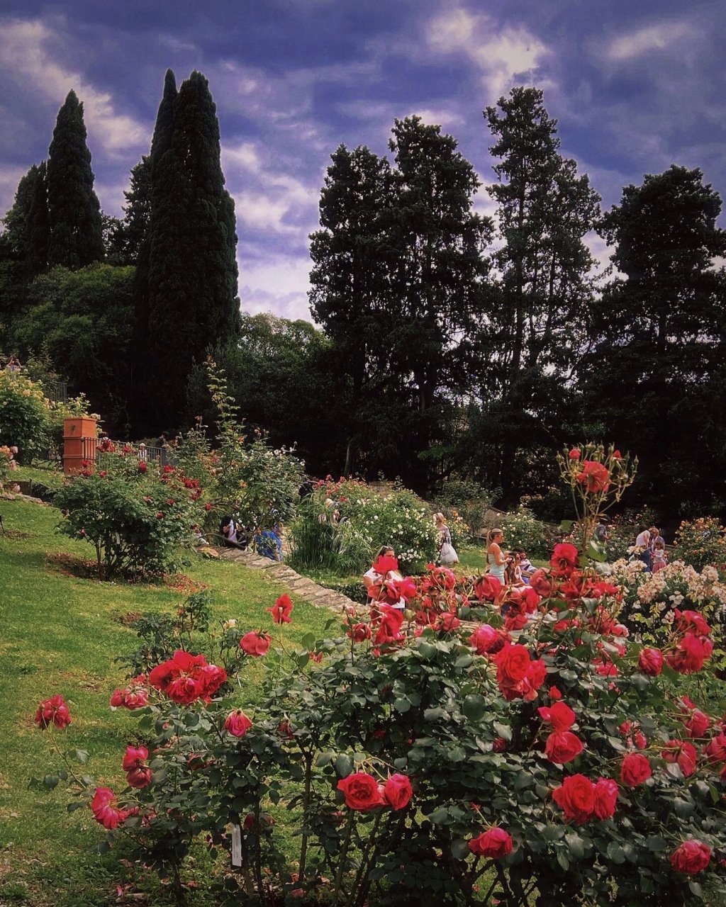 佛罗伦萨玫瑰花园|小镇 教堂博物馆看麻了就来看看佛罗伦萨的花园吧是
