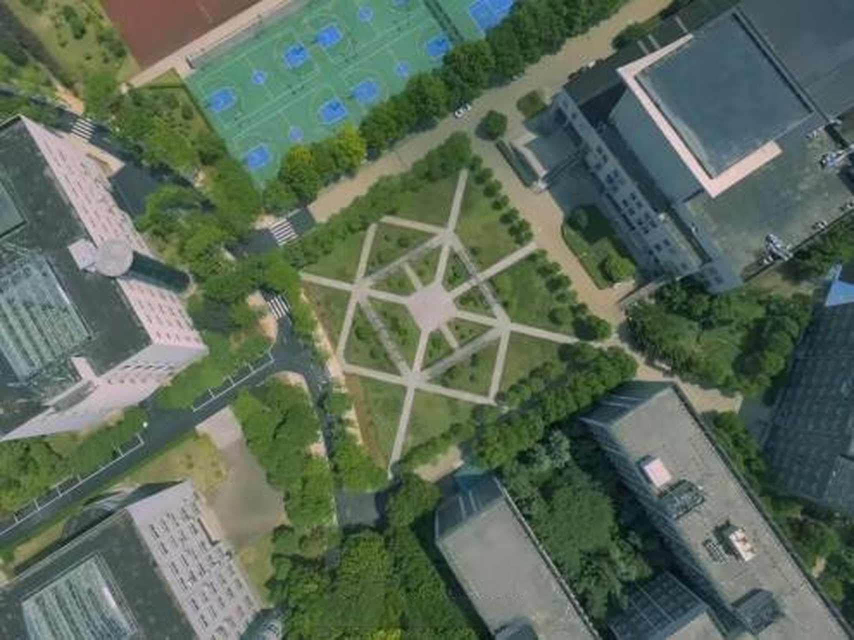 武汉传媒学院# #武传一角# 被风吹得拂动的树似乎在轻声歌唱.