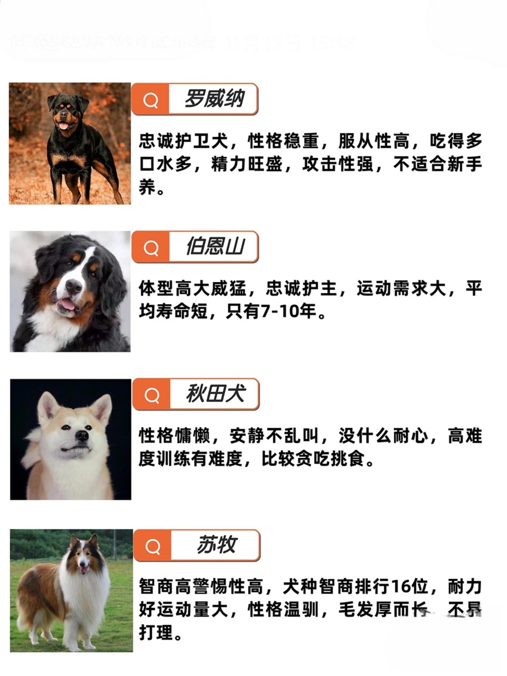 哈希娱乐- 哈希游戏平台- 游戏官方网站一周盘点：企业服务电商领跑e袋洗让O2O咸鱼翻身