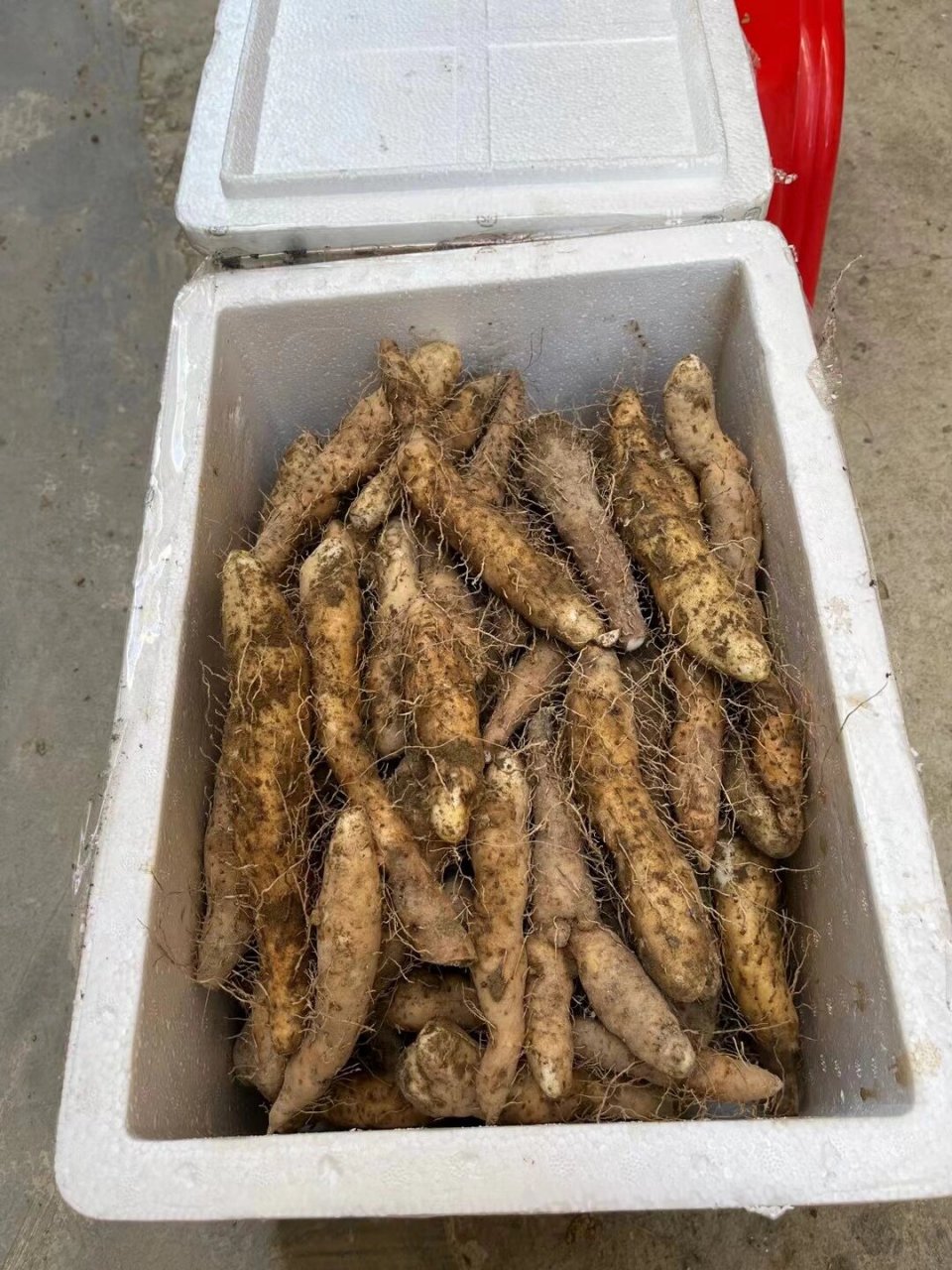 潮汕姜薯,功效多多 可做甜汤,骨汤,反沙姜薯,都非常美味可口.