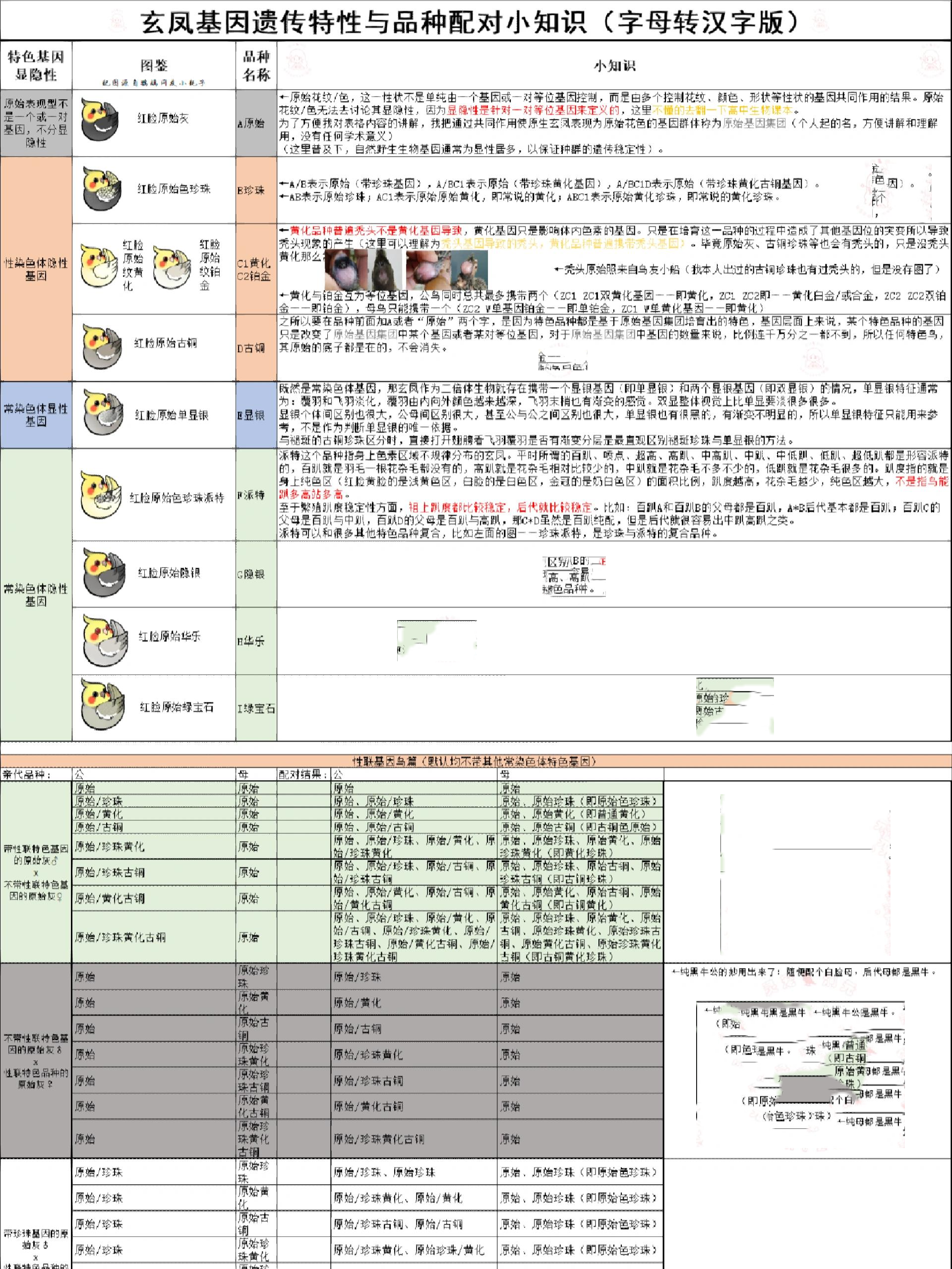 玄凤鹦鹉颜色配对表图片