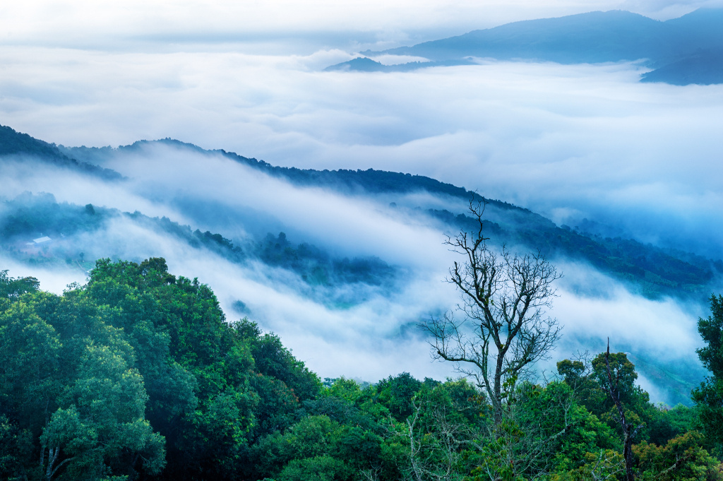 图片来源:视觉中国 更多自然生态美景 尽在: #视觉中国##摄影