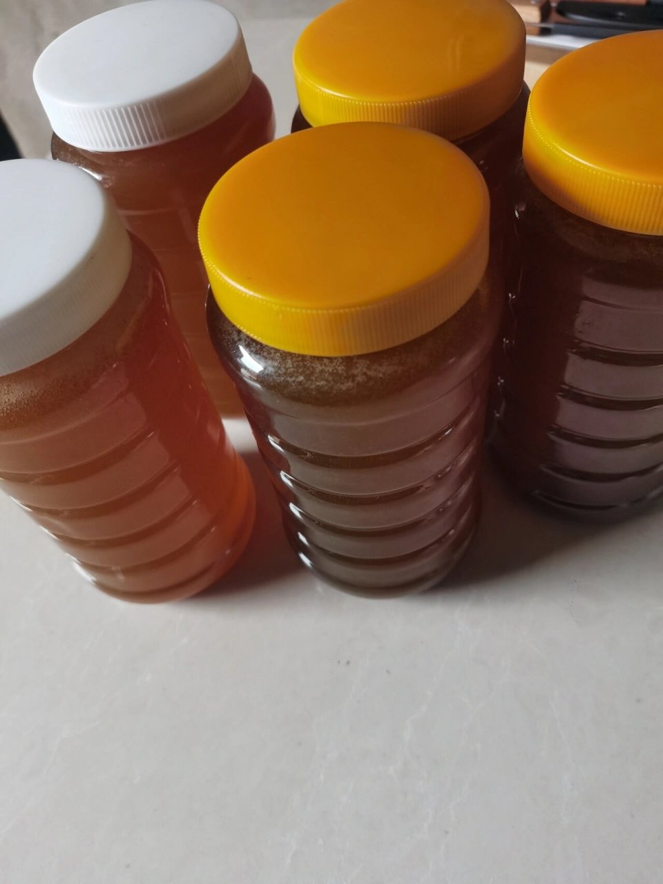 云南西双版纳马叉蜂蜂蜜 正宗的云南西双版纳马叉蜂蜂蜜,野生蜂蜜